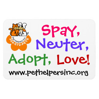 採用、ラブマグネット マグネット