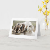 採用，採用，採用，写真， カード (黄色い花)