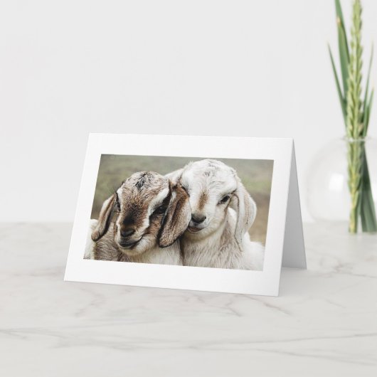 採用，採用，採用，写真， カード (正面)