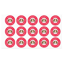 採用、救助、フォスター |かわいい犬のバンドエイド