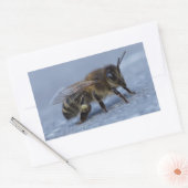 採餌蜂 長方形シール (封筒)