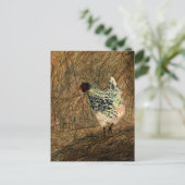 "探す" – 干し草の上でデジタル変換チキン ポストカード (スタンド正面)