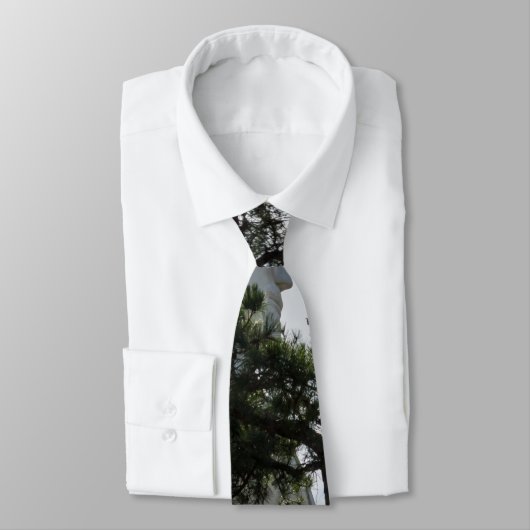 探せばネクタイを見つける ネクタイ (タイ)