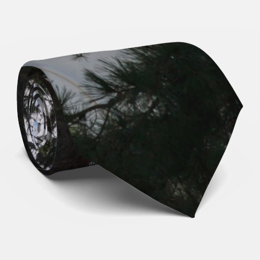 探せばネクタイを見つける ネクタイ (ロール)