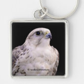 探るようなポートレートの詮索するサーカー《鳥》ハヤブサ キーホルダー (正面)