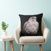 探るようなポートレートの詮索するサーカー《鳥》ハヤブサ クッション (椅子)