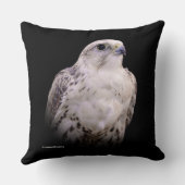 探るようなポートレートの詮索するサーカー《鳥》ハヤブサ クッション (裏面)