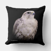 探るようなポートレートの詮索するサーカー《鳥》ハヤブサ クッション (正面)
