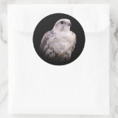 探るようなポートレートの詮索するサーカー《鳥》ハヤブサ ラウンドシール (バッグ)