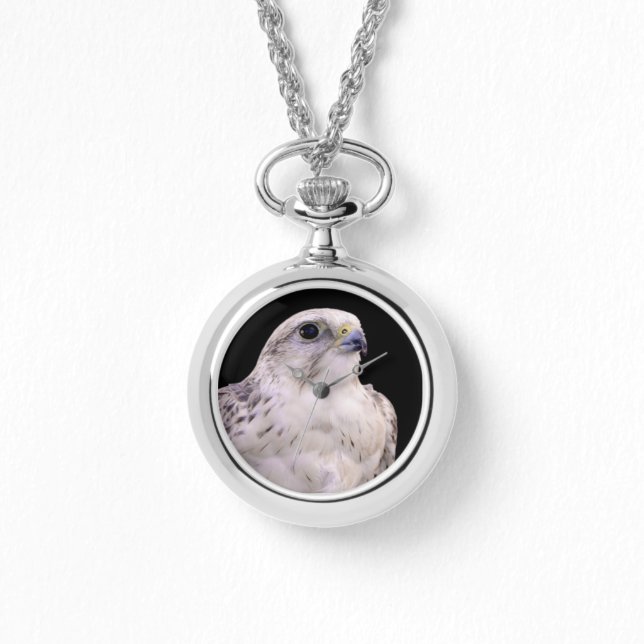 探るようなポートレートの詮索するサーカー《鳥》ハヤブサ 腕時計 (正面)