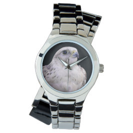 探るようなポートレートの詮索するサーカー《鳥》ハヤブサ 腕時計