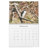 探検カリフォルニア2017年 カレンダー (2月 2026)