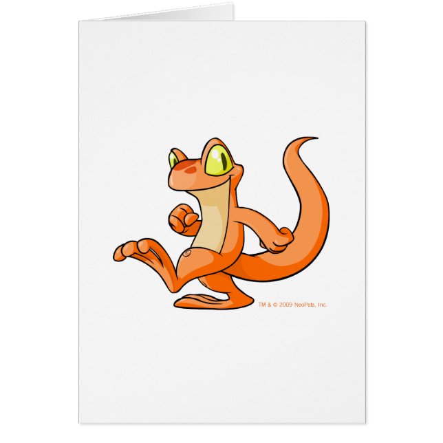 探求のオレンジTecho (正面)