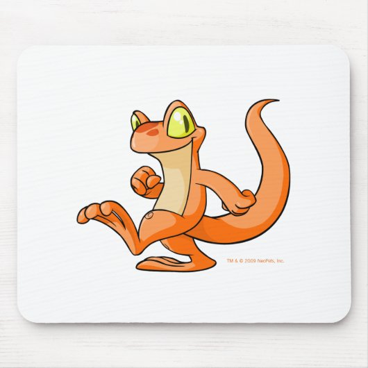 探求のオレンジTecho マウスパッド (正面)