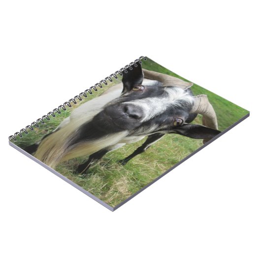 探究心 ノートブック (左側)