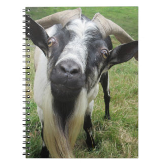 探究心 ノートブック