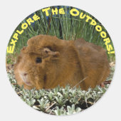探索自然モルモット写真カスタム文字 ラウンドシール (正面)