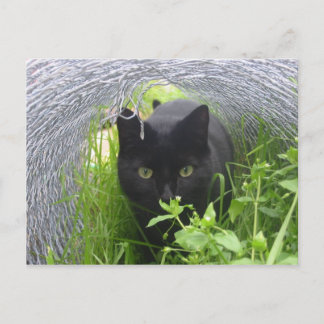 探索 ポストカード