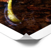 探鉱者 ポスター (角)