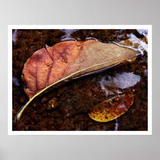 探鉱者 ポスター (正面)