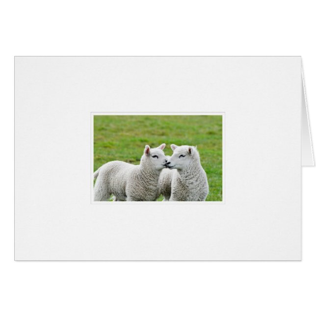 接吻し、構成して下さい (正面横)