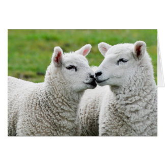 接吻し、構成して下さい