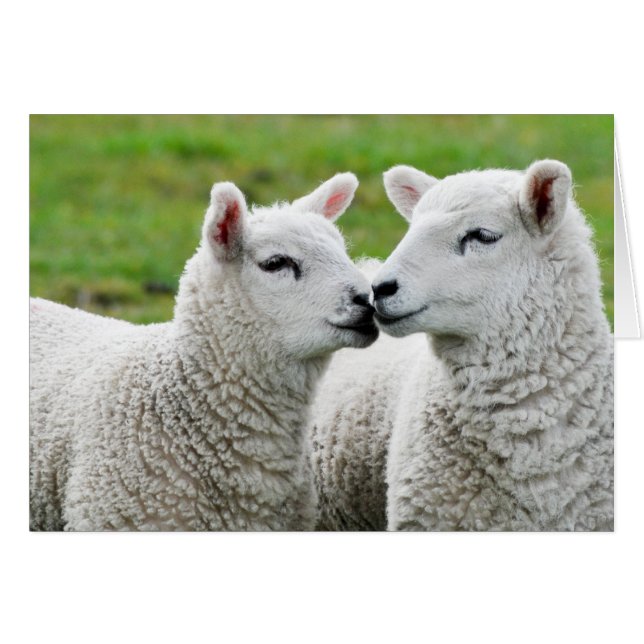 接吻し、構成して下さい (正面横)