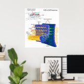 接着接合部蛋白質複合体図 ポスター (ホームオフィス)