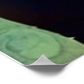 接続1 ポスター (角)