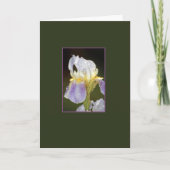 接触 カード (正面)