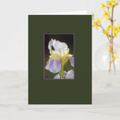 接触 カード (黄色い花)