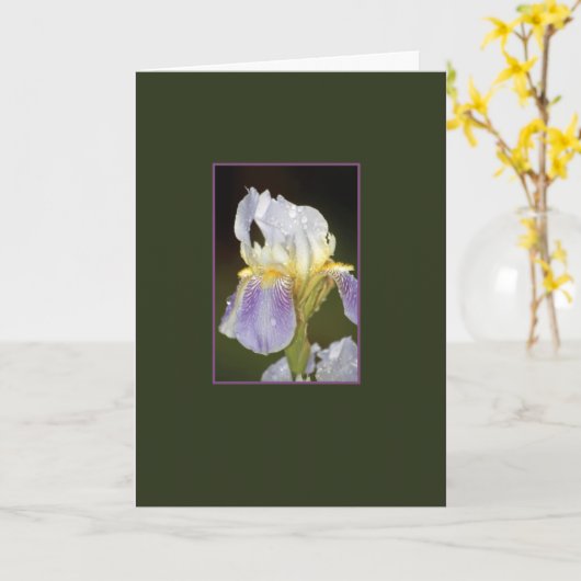 接触 カード (黄色い花)