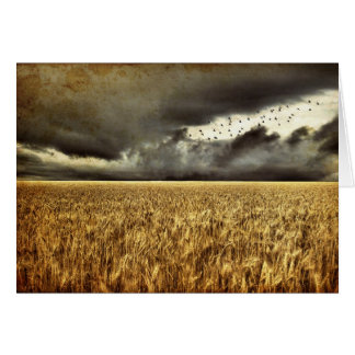 接近の嵐カード