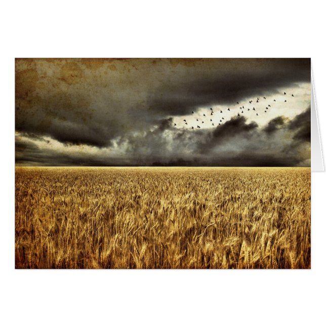 接近の嵐カード (正面横)