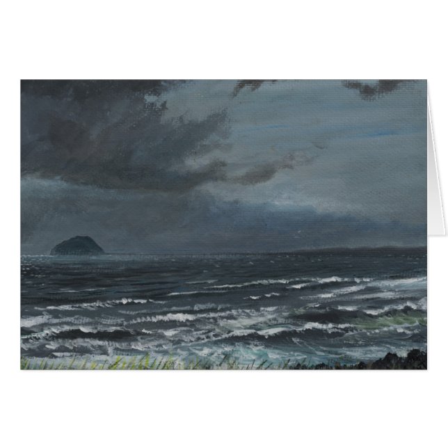 接近の嵐2007年 (正面横)