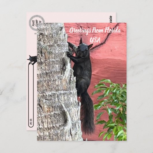 接近通過挨拶黒リス ポストカード (正面/裏面)