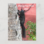 接近通過挨拶黒リス ポストカード (正面)