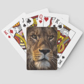 接頭ライオン、成人男性 トランプ (裏面)