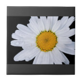 提供する タイル (正面)