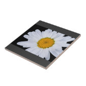 提供する タイル (側面)