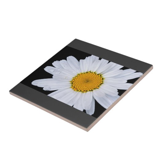 提供する タイル (側面)