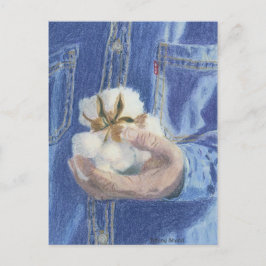 提供者の郵便はがき ポストカード