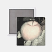 提供 マグネット (正面/裏面)