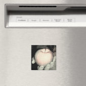 提供 マグネット (インサイチュ (食洗機))