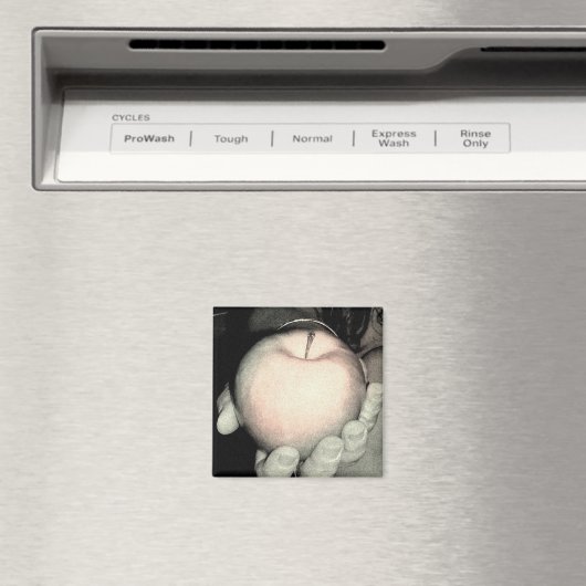 提供 マグネット (インサイチュ (食洗機))