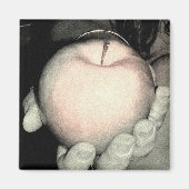 提供 マグネット (正面)