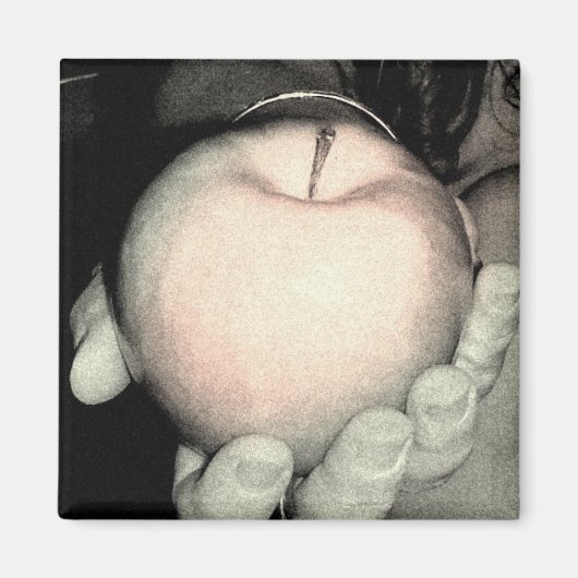 提供 マグネット (正面)