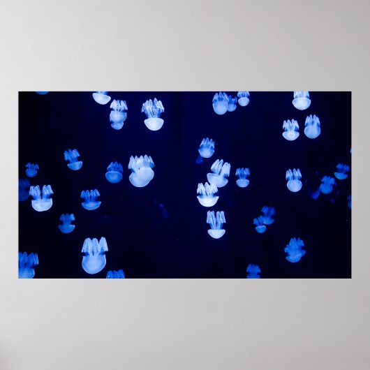 提灯 ポスター (正面)