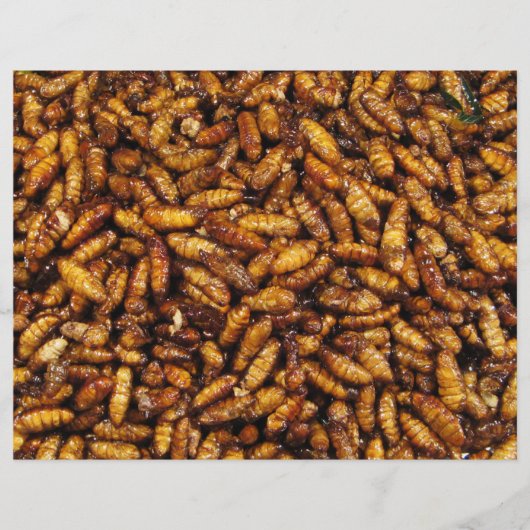 揚げたカイコ... タイのストリートフード チラシ (正面)