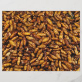 揚げたカイコ... タイのストリートフード チラシ (裏面)